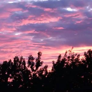 蜜臀AV色欲A片无码一区
