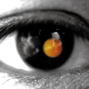 蜜臀AV色欲A片无码一区
