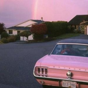 蜜臀AV色欲A片无码一区
