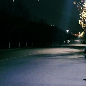 蜜臀AV色欲A片无码一区
