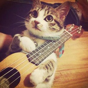 蜜臀AV色欲A片无码一区
